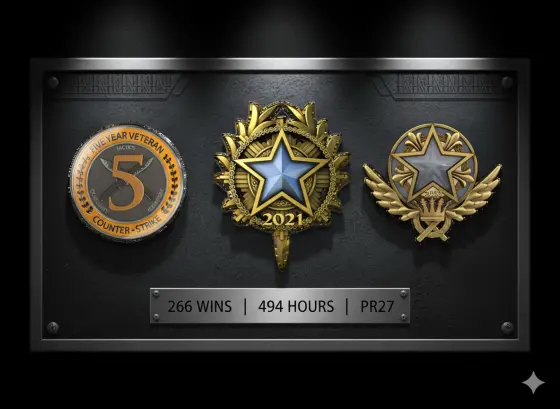 Steam Level 5 | 2021, 2022 Service Medal | 266 Wins & 494 Hours | 5 Year Veteran Coin | Premier Ready | PR 27 | Prime Enabled | Secured With VAC Ban/Wave