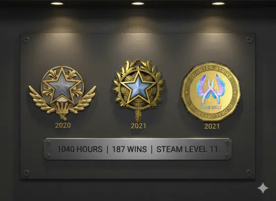 Steam Level 8 | 2020, 2021 Service Medal | 169 Wins & 450 Hours | Birthday Coin | 5 Year Coin | PR21 | Premier Ready | Prime Enabled | Secured With VAC Ban/Wave