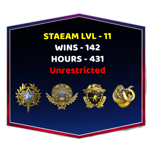 2 Medals CSGO Account With Loyalty Badge