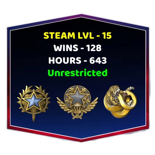 2 Medals Account With Steam Level 15