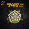 2024 Service Medal CS2 Account | 50+ Wins & 150+ Hours
