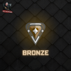 Bronze Ranked Account | NA Region | Full Access